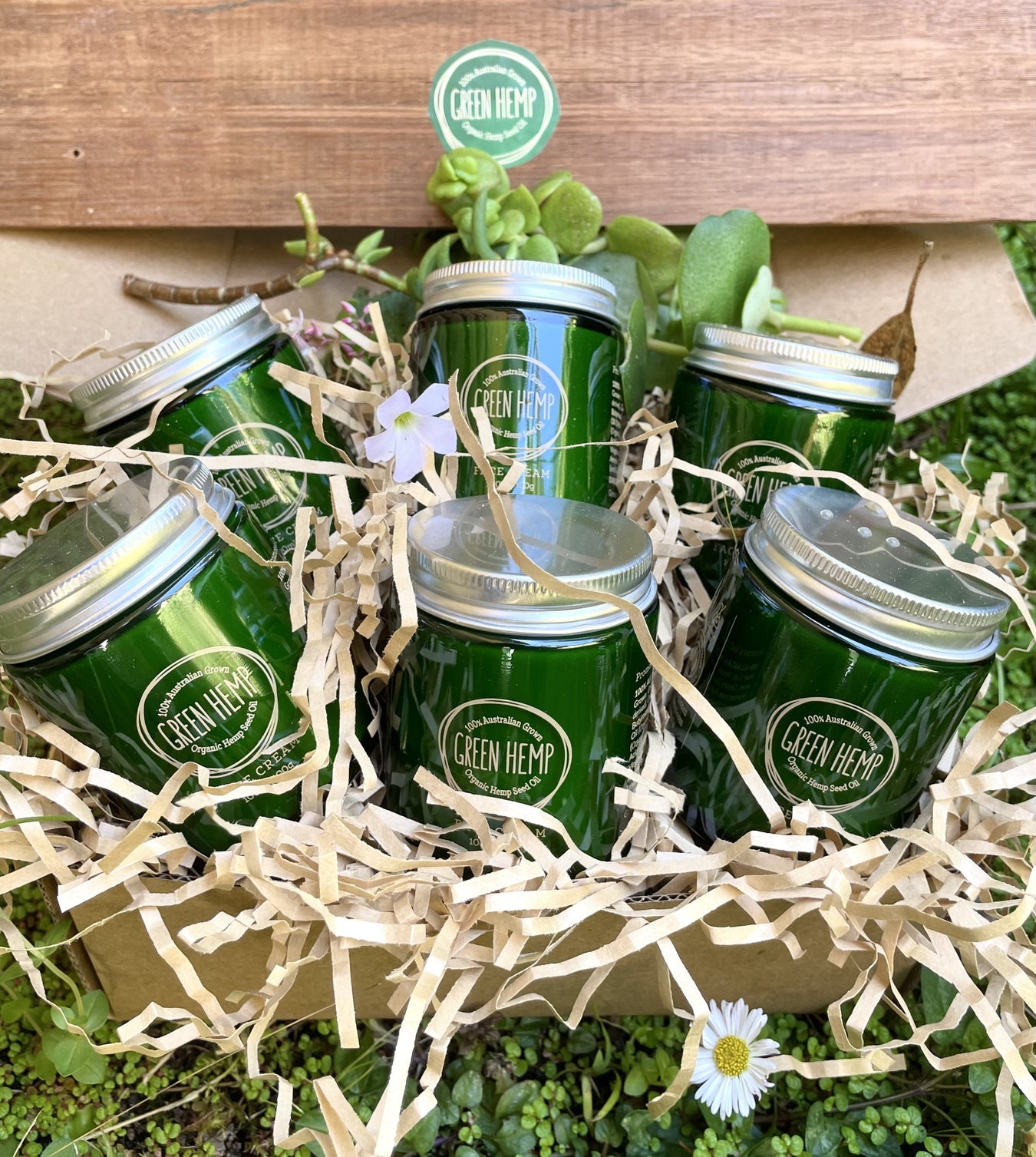 FACE CREAM  100ml   Economy Box of 6